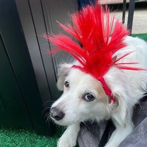 Meet your Posher, Teresa